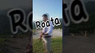 bass shorts shortvideo short Ciubo  Roata romania dj remix 2024 drop hora remix [upl. by Stegman]