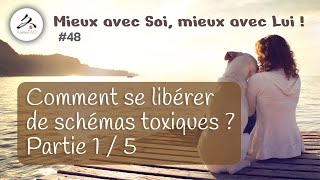 48 Les systèmes de défense de lEgo  le système quotRigidequot Liens avec la numérologie et la MTC [upl. by Armelda747]