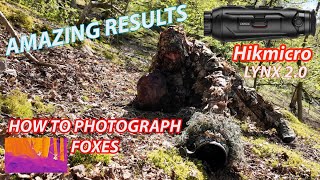 Fox photography and Hikmicro Thermal Monocular test [upl. by Kolb]