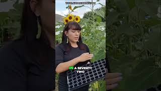 How to Start Seeds Indoors A StepbyStep Guide [upl. by Zednanreh]