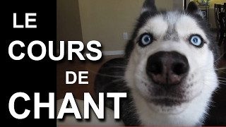 LE COURS DE CHANT  PAROLE DE CHIEN ft Clara Doxal [upl. by Reifinnej187]