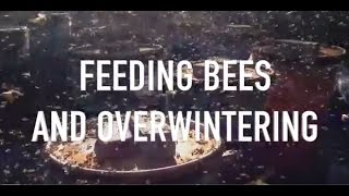 Feeding Bees and Overwintering [upl. by Shieh]