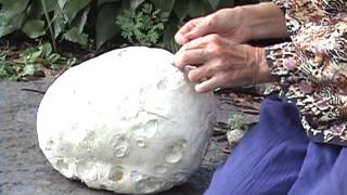 Edible Mushrooms Giant Puffball [upl. by Akined]