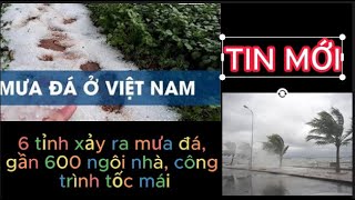 TIN MỚI 6 TỈNH XẢY RA MƯA ĐÁ gần 600 NGÔI NHÀ công trình TỐC MÁI [upl. by Ahsima]