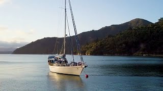 Sailing New Zealands South Island aboard Chimere Picton to Akaroa 2020 [upl. by Ayisan573]