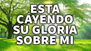 CANSADO DEL CAMINO SEDIENTO DE TI  ADORACIONES Y ALABANZAS PODEROSAS PARA ORAR  ALABANZAS 2024 [upl. by Azalea]