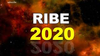 HOROSKOP Ribe 2020 god [upl. by Stimson621]