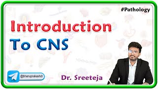 1 Introduction To CNS Pathology  USMLE Step 1🧠💡 [upl. by Parfitt]