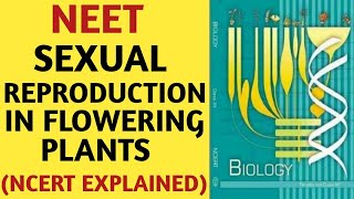 Sexual Reproduction In Flowering Plants Class 12NCERTChapter 02Quick Revision SeriesNEETAIIMS [upl. by Ratep]