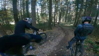 POSTAVARU BIKE PARK FULL SPEED FLLW CAM remusbonta5565 [upl. by Nwadal]