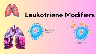 Leukotriene Receptor Antagonist [upl. by Ermanno532]