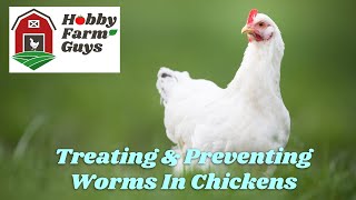 Treating amp Preventing Worms In Your Chickens [upl. by Hamas382]