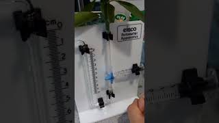 POTOMETER TRANSPIRATION TROUBLESHOOT [upl. by Yert499]