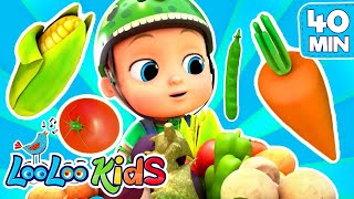 Kids Fun Songs Educational Childrens Songs Collection  LooLoo Kids Children and Kids Songs [upl. by Lussi720]