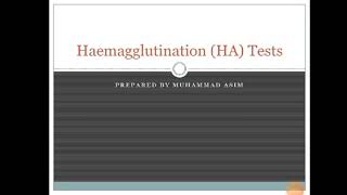 Haemagglutination TestTypes of Haemagglutination test [upl. by Atekihs57]