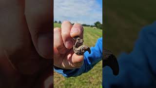 Astonishing discovery iron age brooch found shortsfeed [upl. by Jamaal]