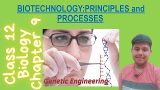 Biotechnology Principles and Processes  Tools for rDNA  Class 12  Biology  Ch9 [upl. by Oilejor]