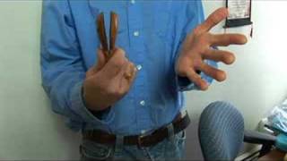 Types of Percussion Instruments  Percussion Instruments Castanets [upl. by Sheri]