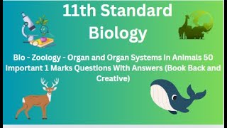 TN 11th Biology Bio Zoology Organ and Organ Systems in Animals 50 Important 1 Marks Ques Answers [upl. by Stelu585]