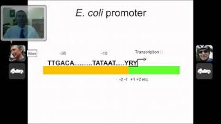 Prokaryotic Transcription and Promoters [upl. by Ytirahc280]