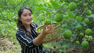 Lime picking for pickle cooking  How you eat lime pickle  Sros Yummy Cooking Vlogs [upl. by Bonnice]