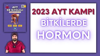 Bitkilerde Hormonlar AYT Biyoloji Kampı Konu Anlatımı 12Sınıf 2024 Tayfa [upl. by Wheaton]