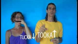 Harmonica Lesson For Beginners Rhythm Lesson [upl. by Norahs]