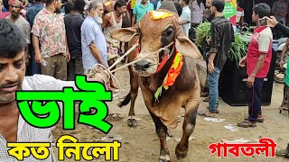 Bhai Koto Nilo 2024  Gabtoli Cattle Market  Gabtoli Gorur Haat 2024  Gorur Haat Update p ১০ [upl. by Mozes]