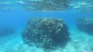 Red Sea Eilat Princess beach Sep23 [upl. by Enelrae]