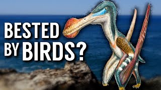 Were Pterosaurs Outcompeted by Birds [upl. by Farrish]