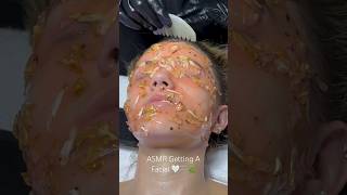 ASMR Getting A Facial 🤍🫧🌿✨ [upl. by Jeremy]