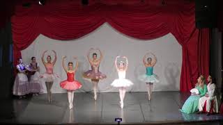 Ballet – A Bela Adormecida [upl. by Ahseina]