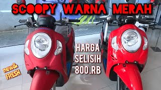 SCOOPY TERBARU 2024 warna MERAH  STYLISH RED amp SPORTY RED ‼️ [upl. by Eelam]