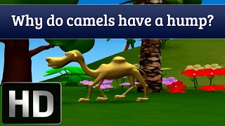 Why do camels have humps  Facts About Camels for Kids [upl. by Hortensa]