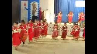 Sua Dance  Chhattisgari Dance [upl. by Martell98]