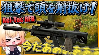 【EFT】安価で優秀なRFBで無双【タルコフ】【ゆっくり実況】 [upl. by Raymonds]