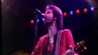 The Kinks Lola live 1981 [upl. by Ynnaffit]