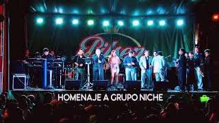 MIX NICHE EL MEJOR HOMENAJE SALSA LATINA EN VIVO ORQUESTA LA GRANDE 2019 [upl. by Ambrogino]