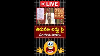 🔴LIVEAP Women Sensational Comments On Tirupati Laddu Issue  YS Jagan  CBN  PM Modi PC Political [upl. by Yahs625]