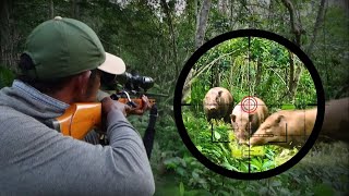 TOP 100 KILLING BLOWS Best Wild Boar Hunts Compilation [upl. by Melgar353]