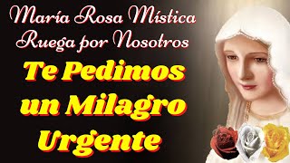 🙏Oración a SANTA MARÍA ROSA MÍSTICA para que nos Otorgue un Milagro🙌 [upl. by Dawn]