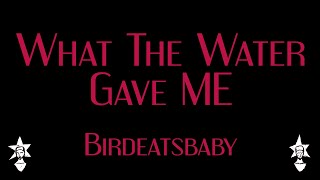 Birdeatsbaby  What The Water Gave Me  Karaoke [upl. by Ydnec]