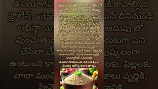 Fonio millet ఫోనియో ఇది ఒక సంపూర్ణ ఆరోగ్య ఆహార ధాన్యం millets healthyfood food [upl. by Shreeves316]