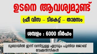 Dubai Job Vacancy 2024 Malayalam UAE Job Vacancy Gulf Job Vacancy Malayalam  Today Job Vacancy [upl. by Deegan]