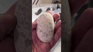 Dry Petoskey Stone [upl. by Qifahs]