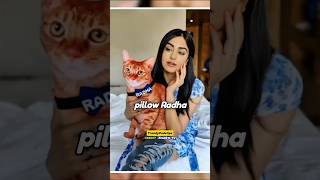 Adah Sharmas famous cat Radha Sharma 🥰  AdahSharmaOfficial  shorts adahsharma bhartisingh [upl. by Dole6]