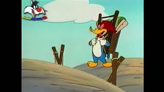 woody woodpecker laugh [upl. by Anerok]