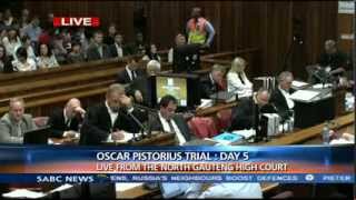 Oscar Pistorius Trial Friday 7 March 2014 Session 5 [upl. by Nallak]