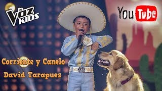 David Tarapues  Corriente y Canelo  La Voz Kids Colombia 2018 [upl. by Lsiel]