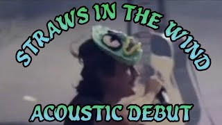 Straws In The Wind Acoustic Debut Live In Detroit 2024  King Gizzard amp The Lizard Wizard [upl. by Koby603]